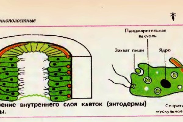 Kraken ссылка kraken clear com