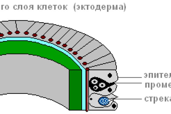 Тор для кракена