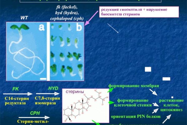 Через какой браузер заходить на кракен