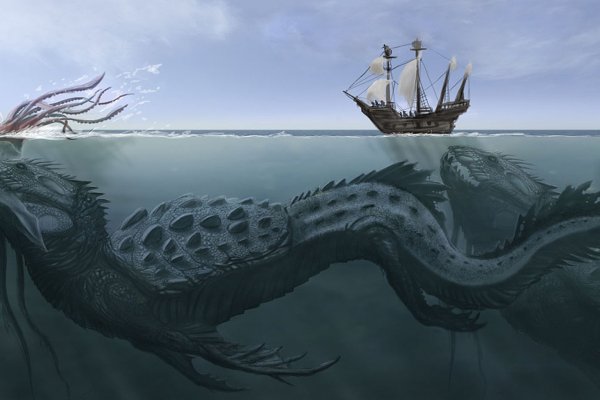 Kraken official