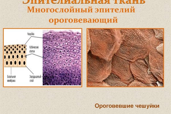 Через какой браузер зайти на кракен
